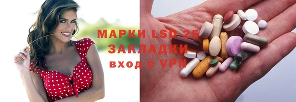 сатива Абинск