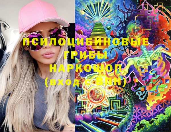 сатива Абинск
