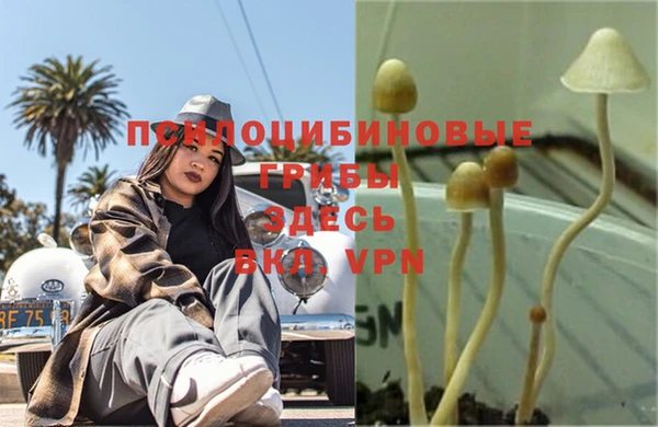 каннабис Абдулино