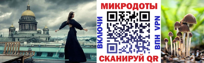 наркотики  hydra ONION  Псилоцибиновые грибы мицелий  Сусуман 